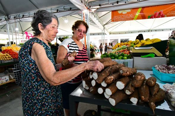 Prefeitura de Cuiab | Mercado do Porto: Uma deliciosa jornada pelos produtos regionais e diferenciados