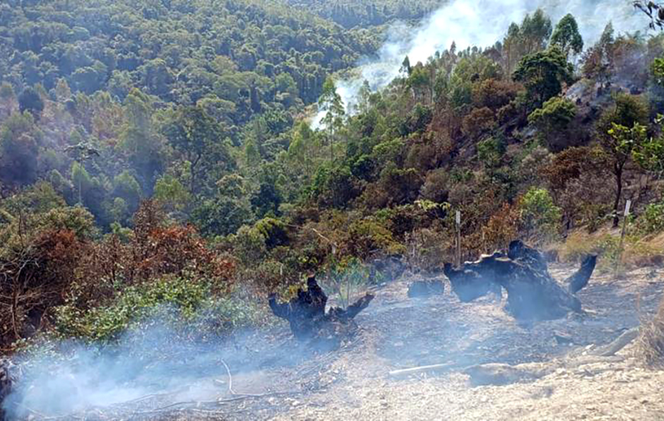 Estiagem aumenta risco de queimadas