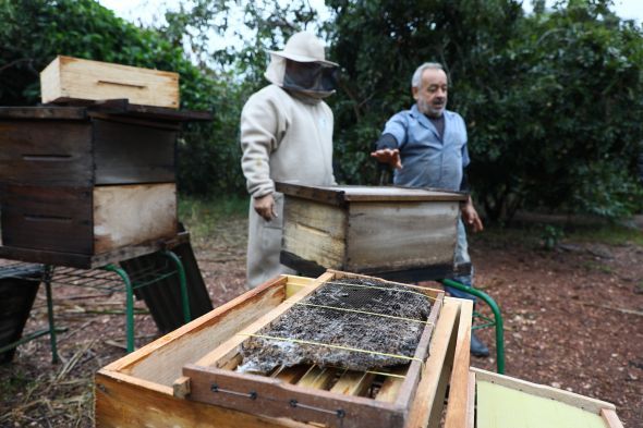 Prefeitura de Cuiab | Sugesto de Pauta: Prefeitura de Cuiab entrega kits de apicultura para produtores da regio do Cinturo Verde e regio