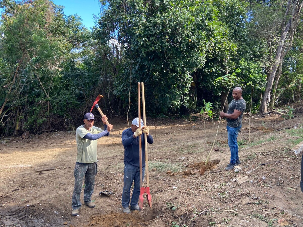 Secretarias do Ambiente e de Serviços Públicos realizam limpeza e plantio de mudas em torno da Lagoa de Geribá