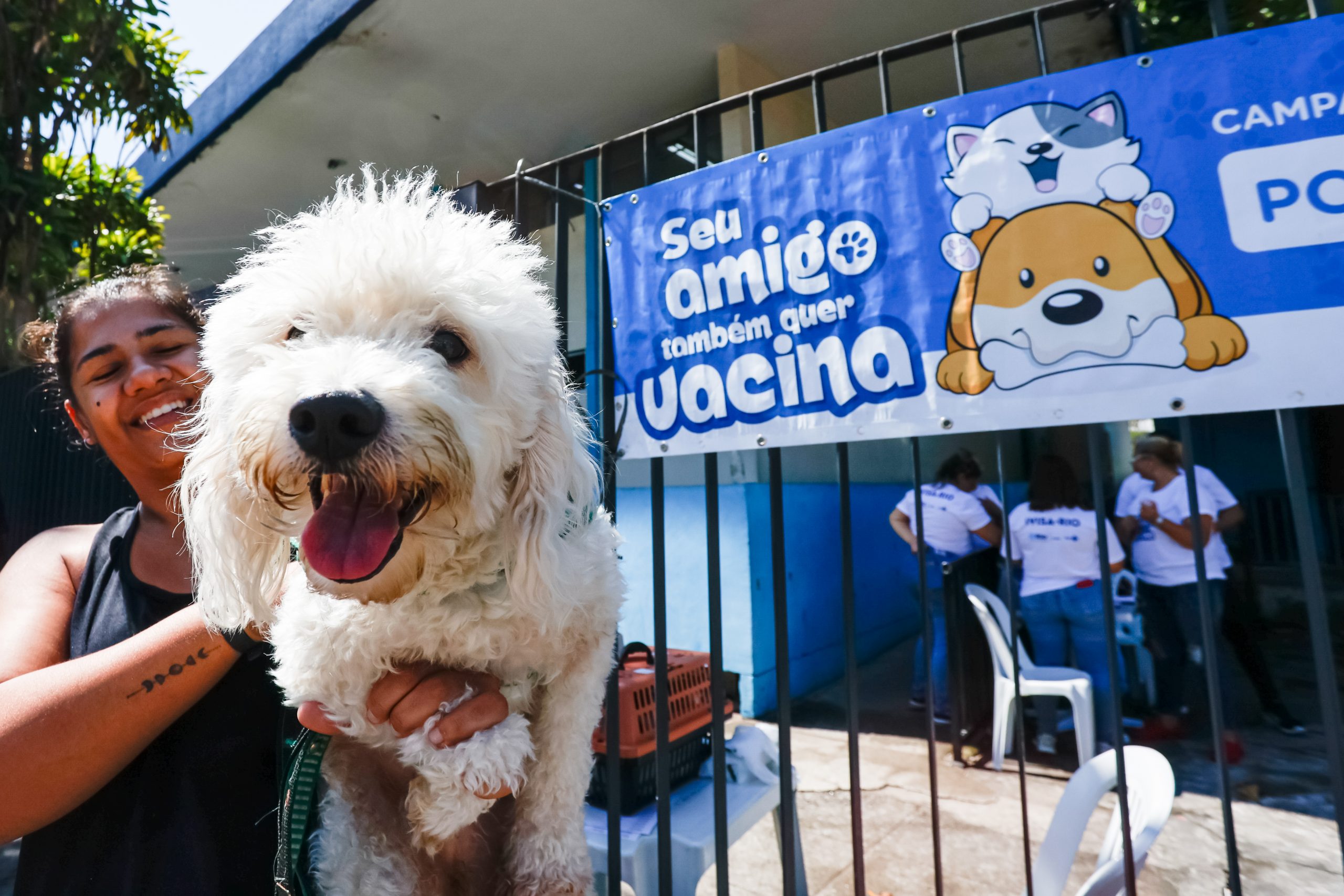 Paquetá recebe etapa da campanha de vacinação antirrábica no próximo sábado - Prefeitura da Cidade do Rio de Janeiro