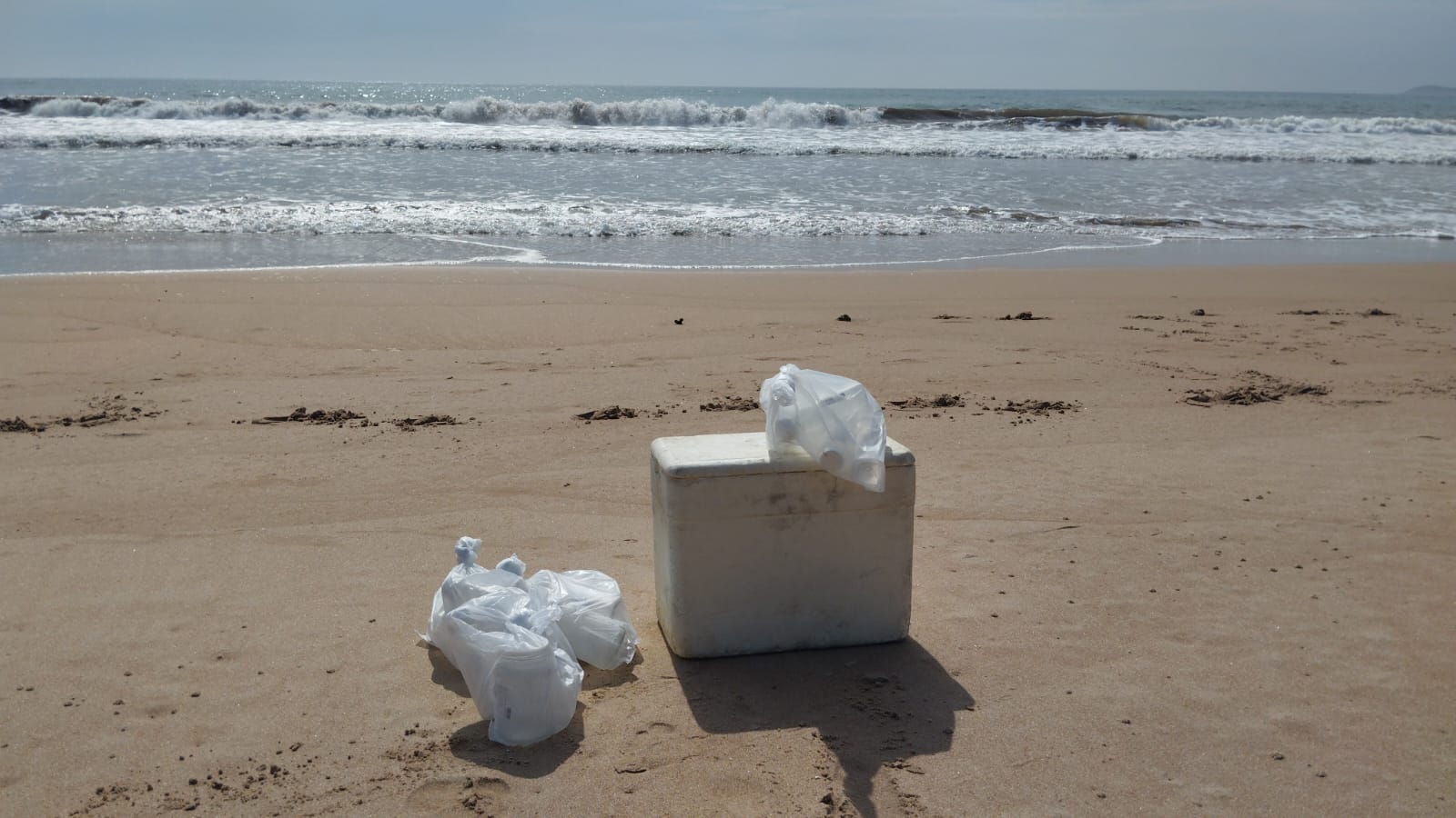 As coletas de amostras de água seguem sendo feitas nas Praia de Tucuns e Tartaruga