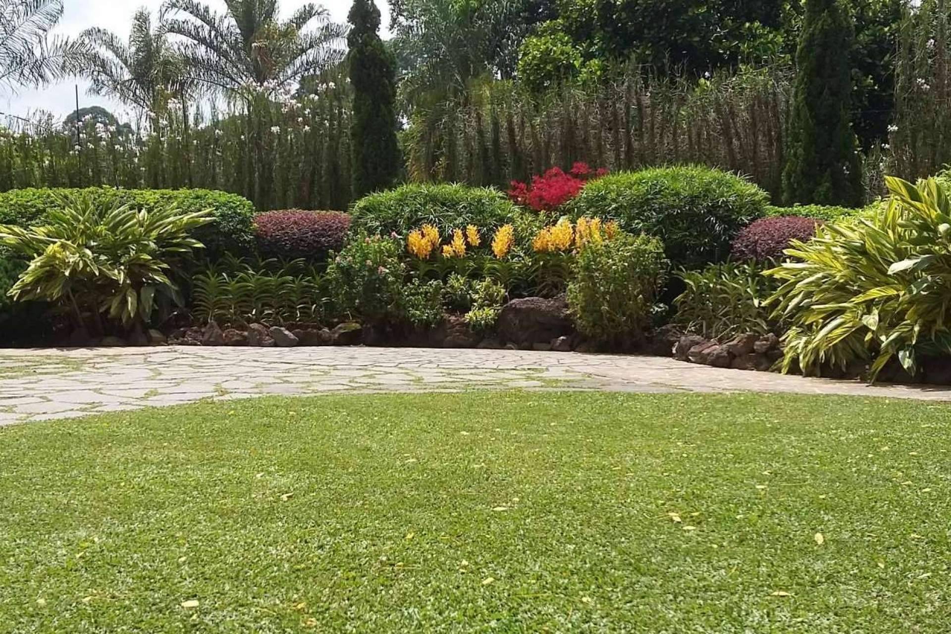 Ecologia e respeito pelo meio ambiente