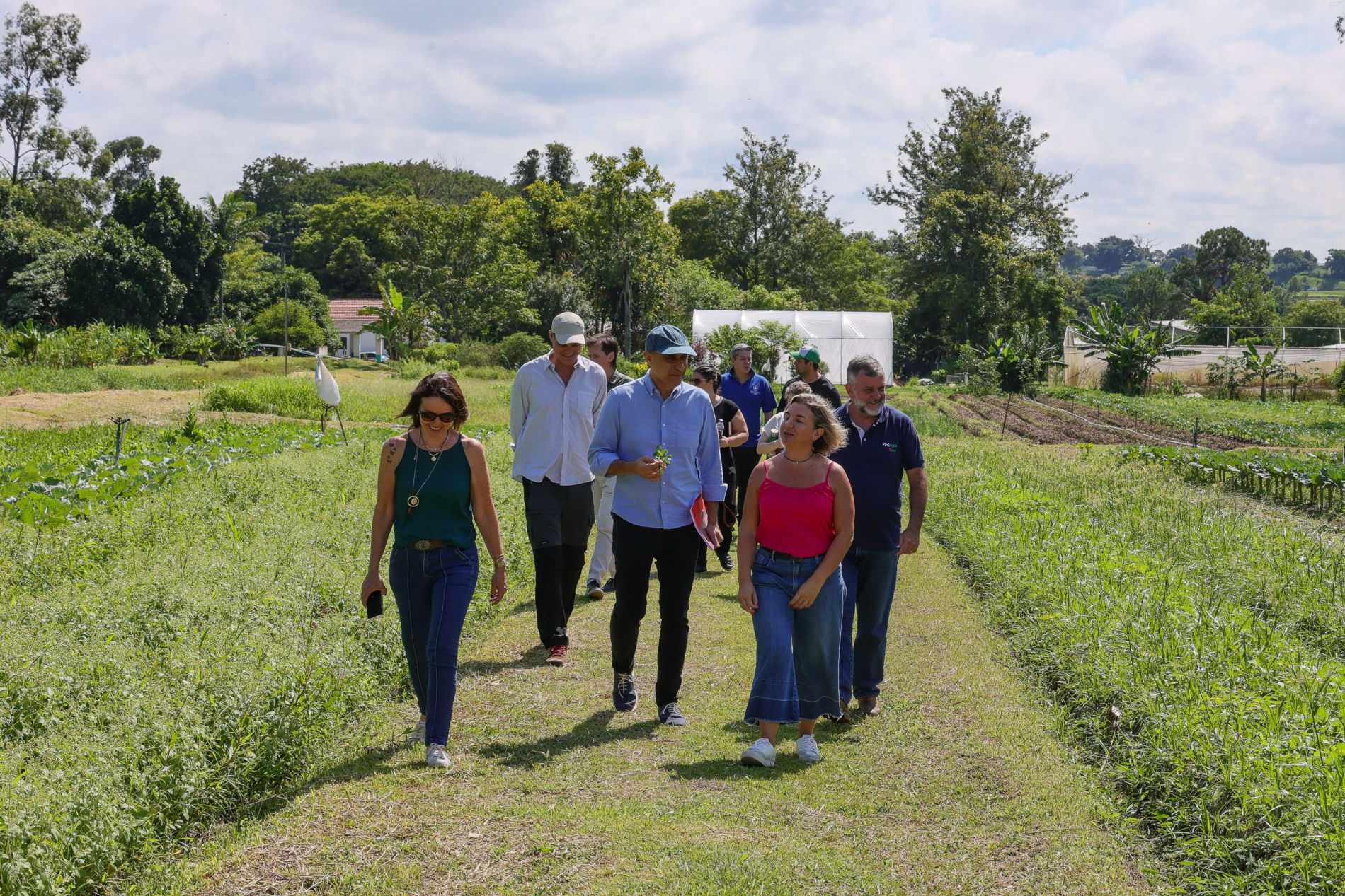 Escola Inovadora: alimentação escolar inspira visita de organizações internacionais