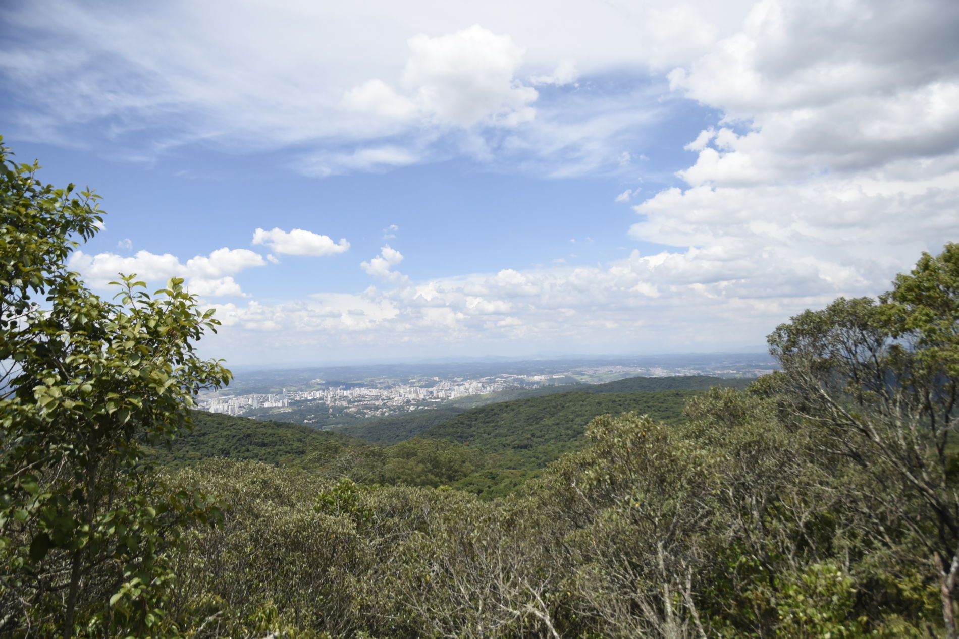 Galeria do Centro das Artes abre exposição sobre a Serra do Japi