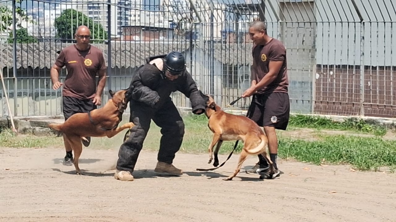 Grupamento de Operações com Cães da Guarda Municipal ministra instrução para agente do Degase - Prefeitura da Cidade do Rio de Janeiro