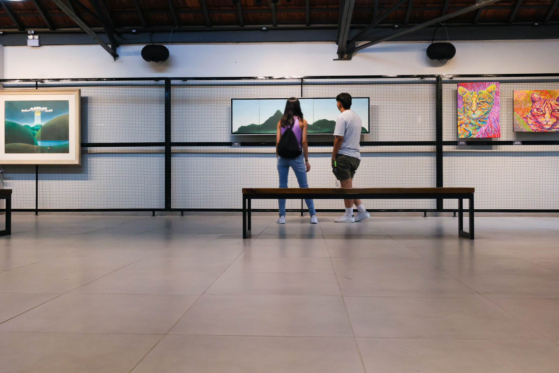 Site da Cultura traz nova página com exposições gratuitas em exibição